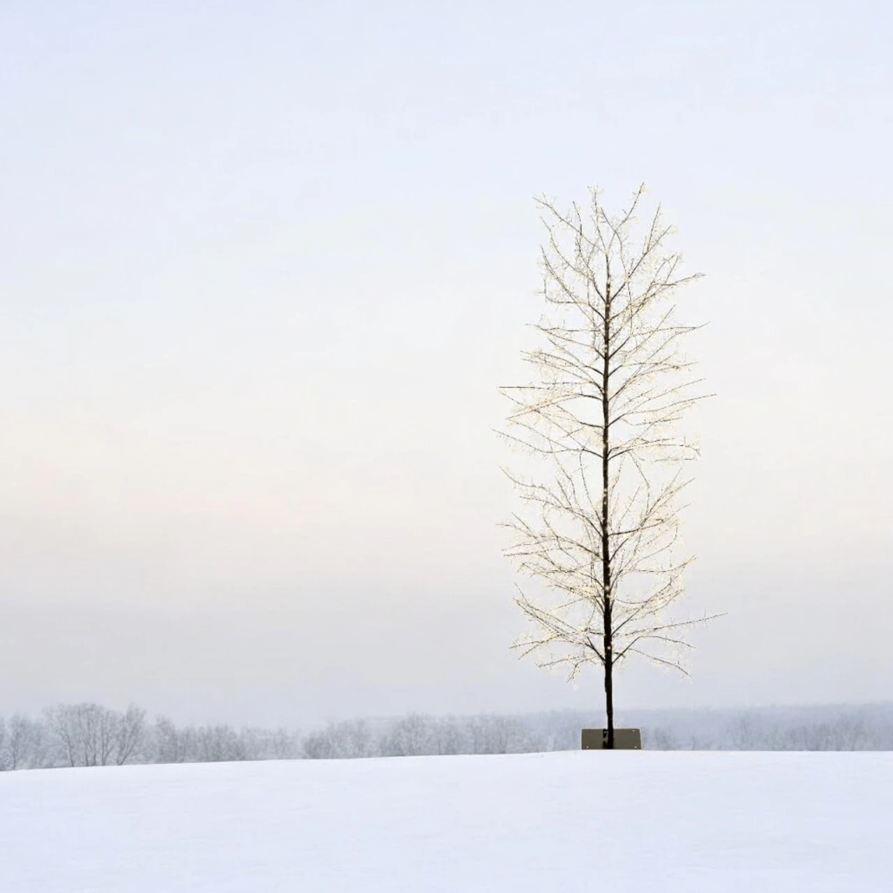 Lumineo 1,755 LED Warm White Lit 70" Tree - Image 2