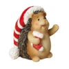 Hedgehog Holding A Christmas Stocking