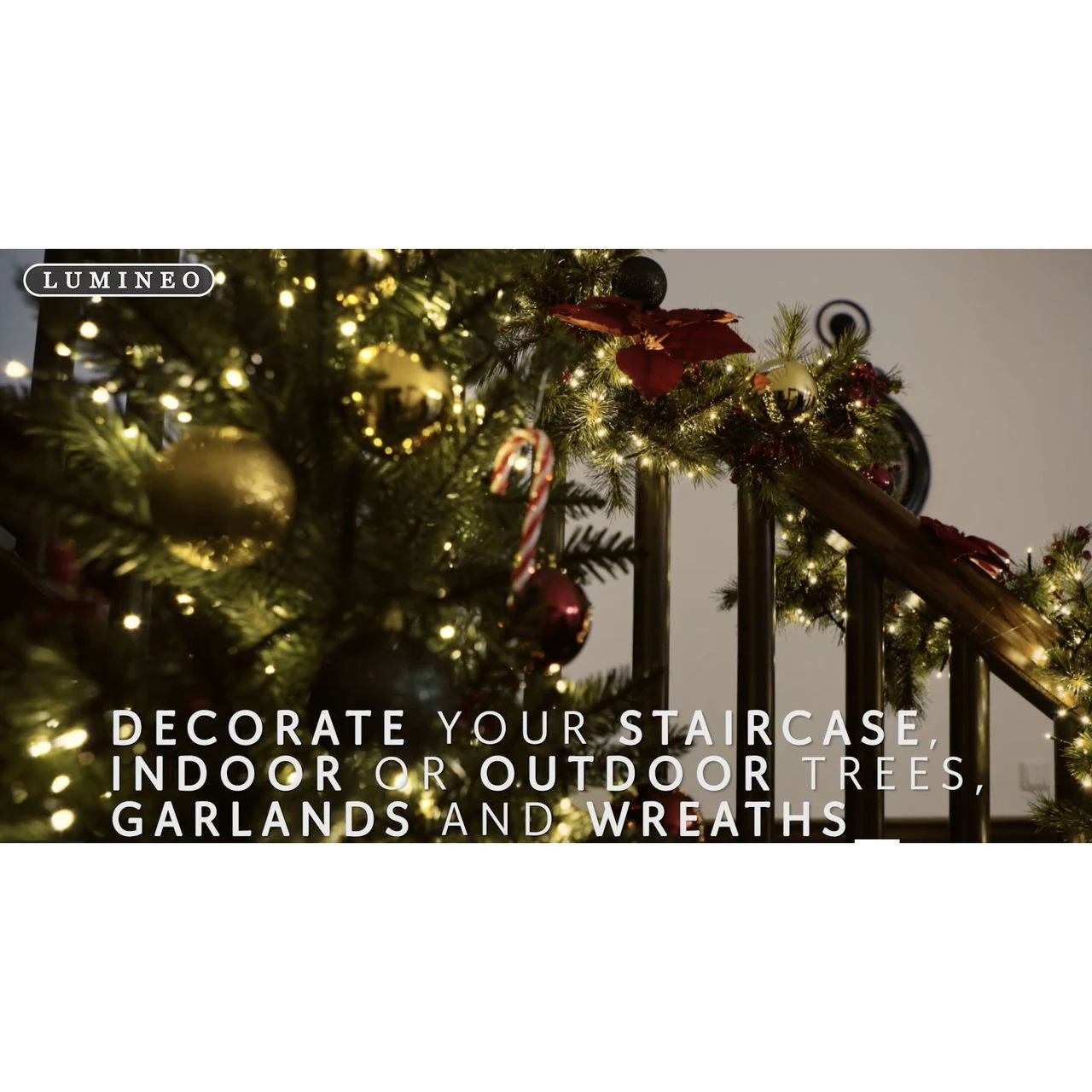 Lumineo 500 LED Warm White Compact Lights Green Wire - Image 4