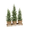 15.5 Inch Flocked Holiday Potted Tree Trio