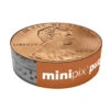 Lincoln Penny Minipix Puzzle