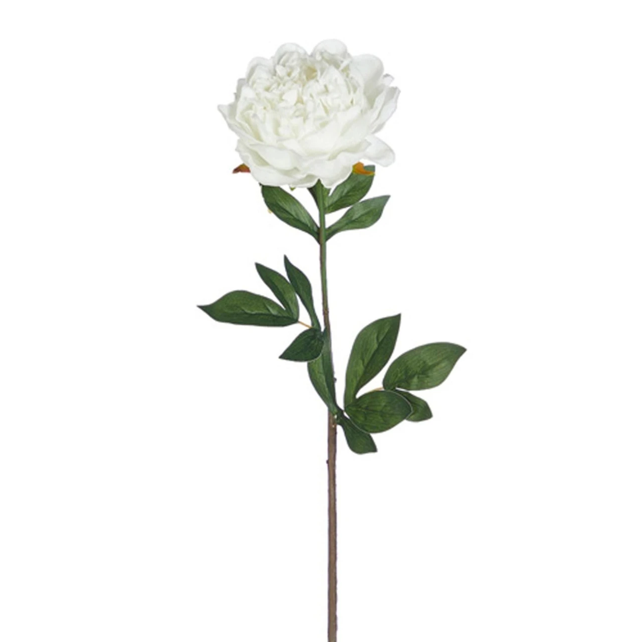 Real Touch White Peony Flower Stem