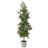 36" Pencil Princess Pine Tree In A Cement Pot