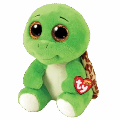 Turbo - Green Turtle