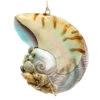 Coral Reef Snail Shell Ornament