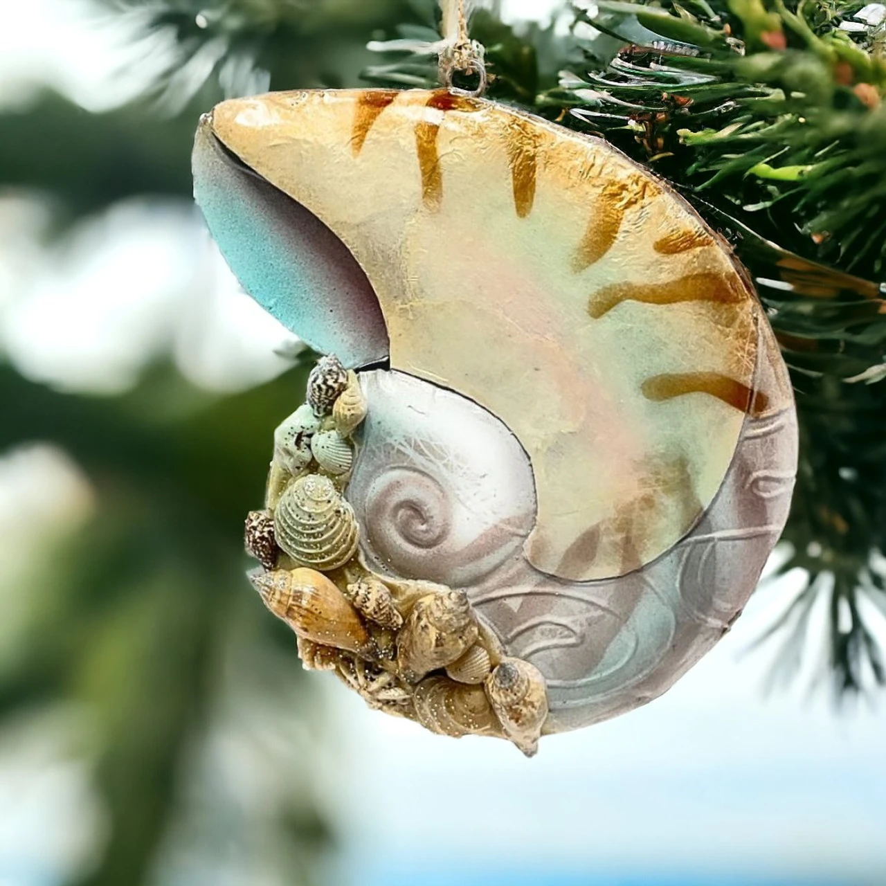 Coral Reef Snail Shell Ornament - Image 2
