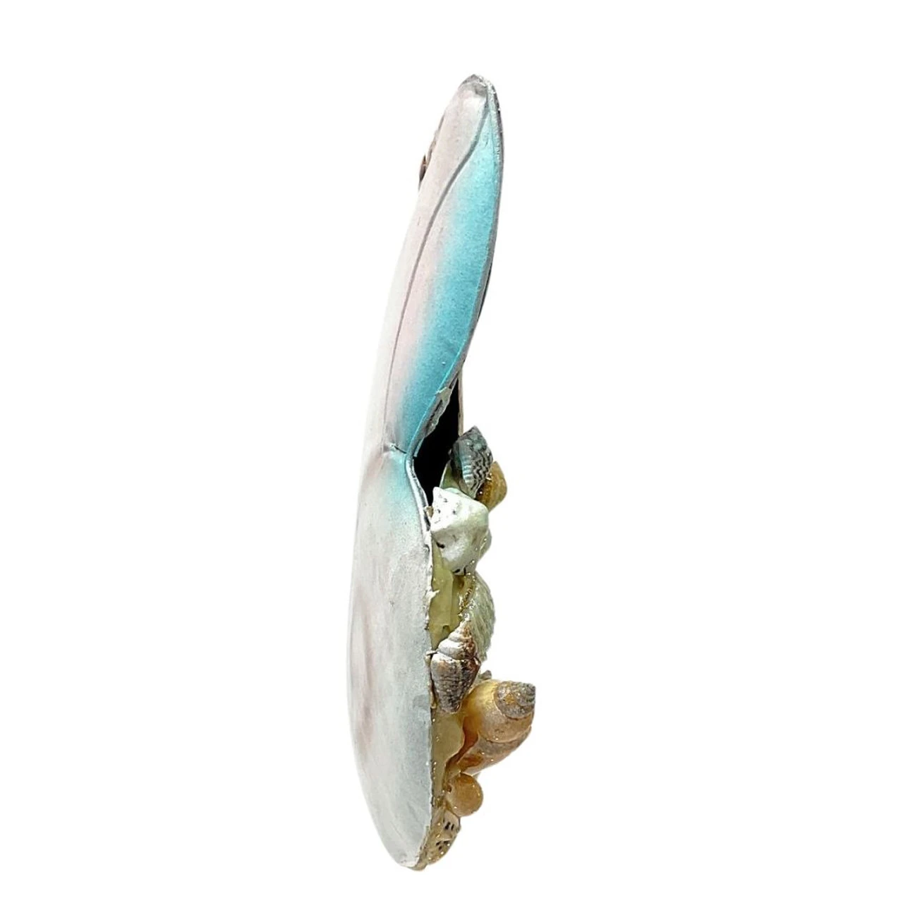 Coral Reef Snail Shell Ornament - Image 4
