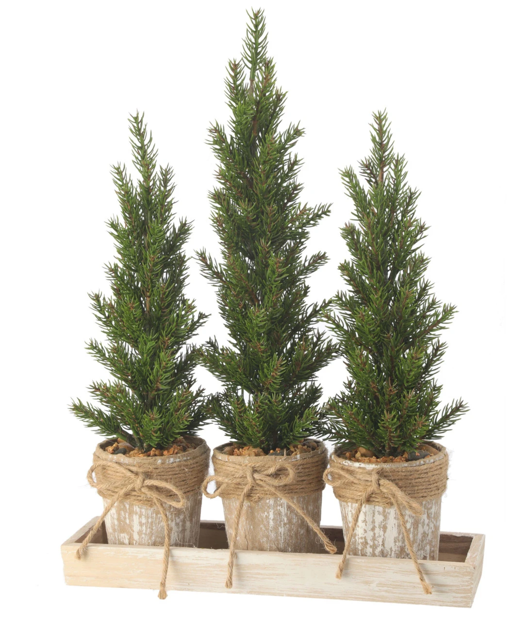 Triple Potted Pine Seedling Tray