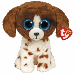 Muddles - Brown And White Dog
